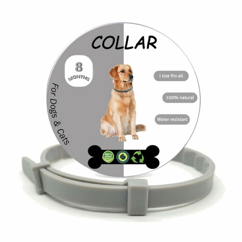 Collar Antipulgas DeluxePets — Protección Total para Perros y Gatos
