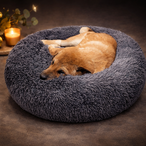 Cama Antiestrés Talla M 60cm DeluxePets – Descanso Profundo y Confort Premium